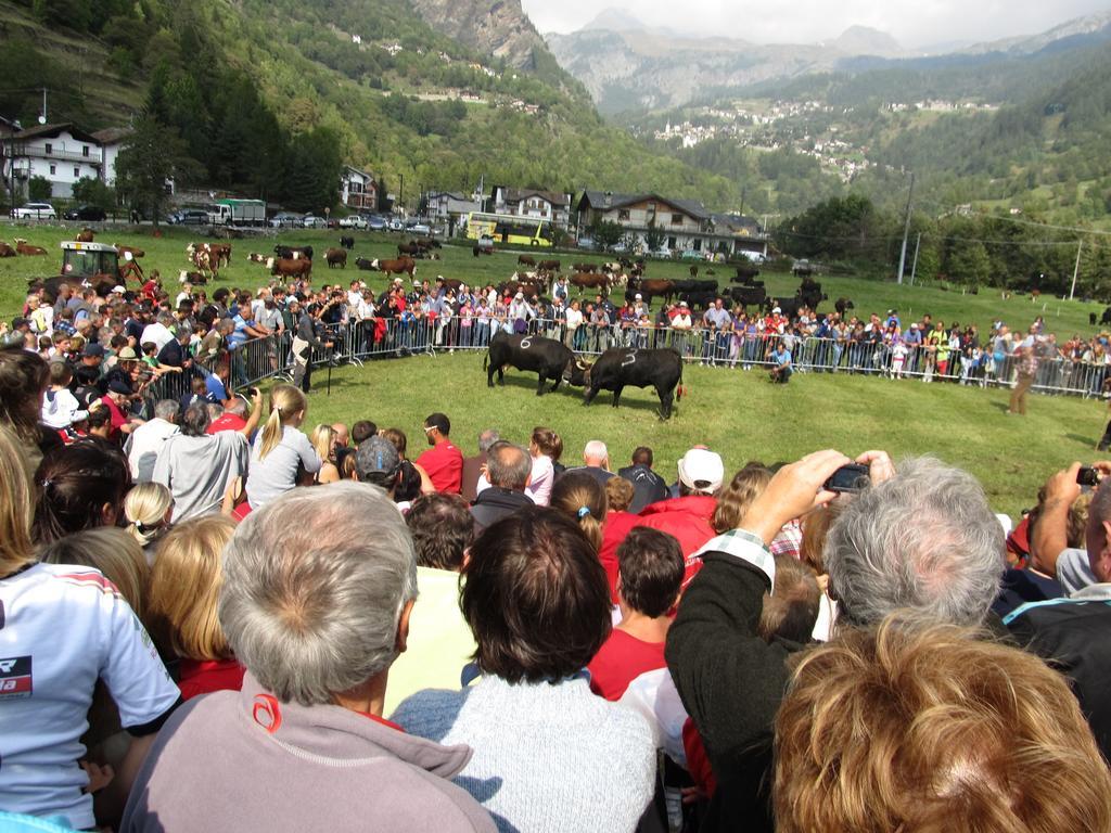 Hotel Miramonti Valtournenche Exterior foto